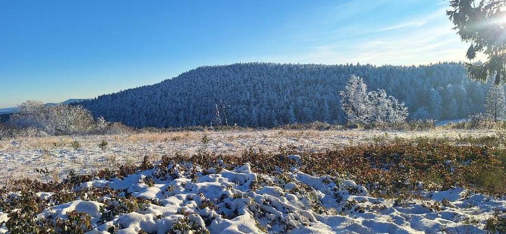 Location de vacances pour 2 personnes, avec jardin à Saint-Julien-Molin-Molette - 2