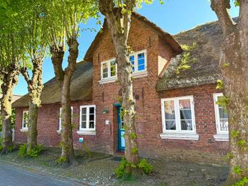 Ferienhaus für 7 Personen, mit Terrasse und Sauna sowie Garten, mit Haustier in Oldsum