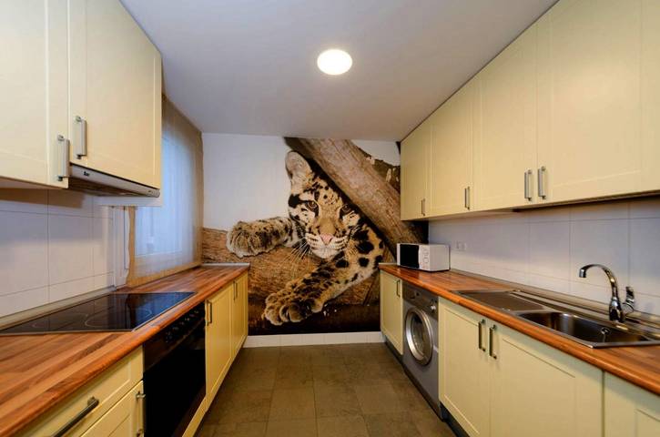 Gîte pour 8 personnes à Boltaña - 2