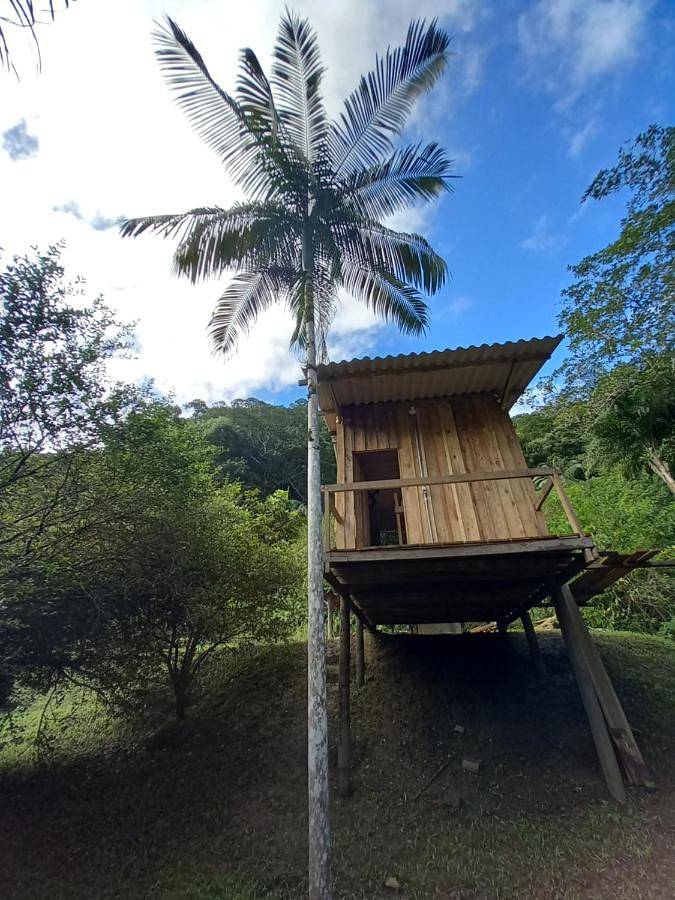Camping para 4 personas, con jardín además de vistas y terraza, Se admiten mascotas en Brasil