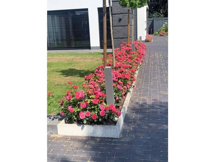 Ferienhaus für 2 Personen in Schneverdingen - 3