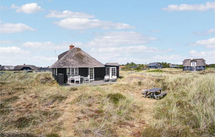 Ferienhaus für 5 Personen, mit Garten und Terrasse, mit Haustier in Blavand - 4