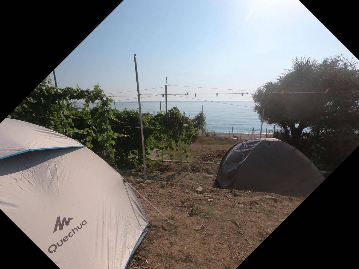 Camping Jungle in Borsh in Lukowa, Wlora