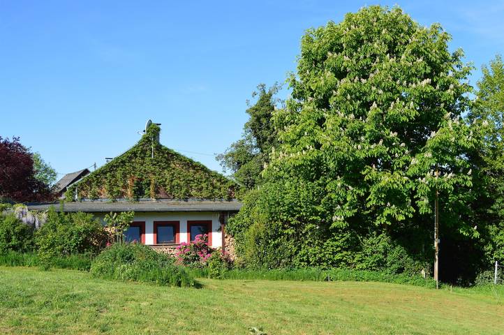 Ferienwohnung für 2 Personen, mit Terrasse und Garten in der Vulkaneifel - 4