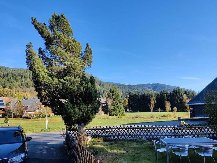 Ferienhaus mit 1 Schlafzimmer in Menzenschwand-Vorderdorf (St. Blasien), St. Blasien