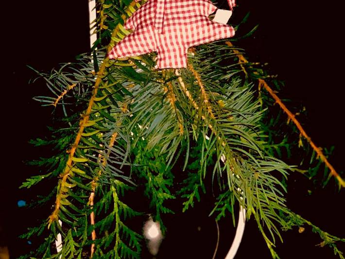 Ferienwohnung für 3 Personen, mit Garten, kinderfreundlich in Altstadt von Görlitz - 2