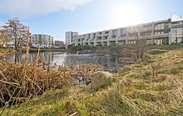 Gîte pour 4 personnes, avec terrasse et vue sur le lac dans Elseneur - 4