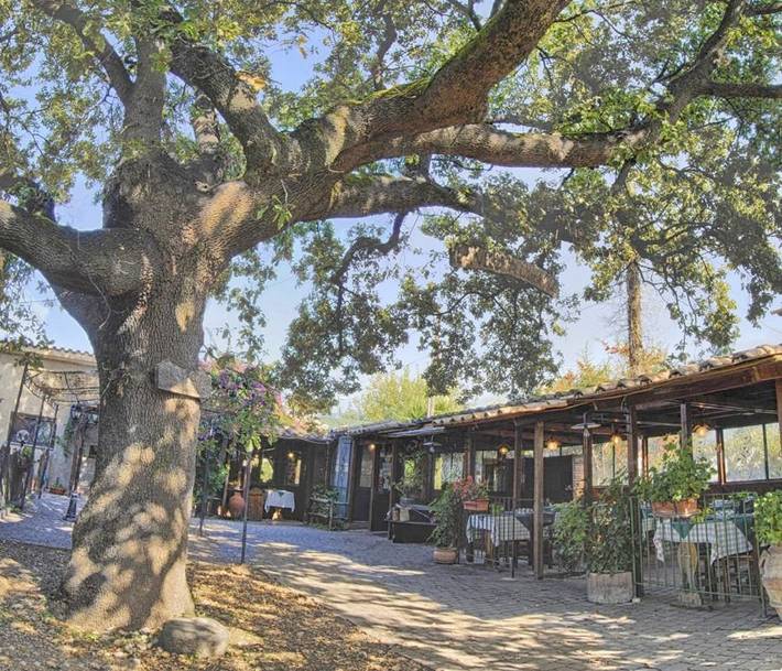 Bed and breakfast per 2 persone, con balcone e giardino - 1