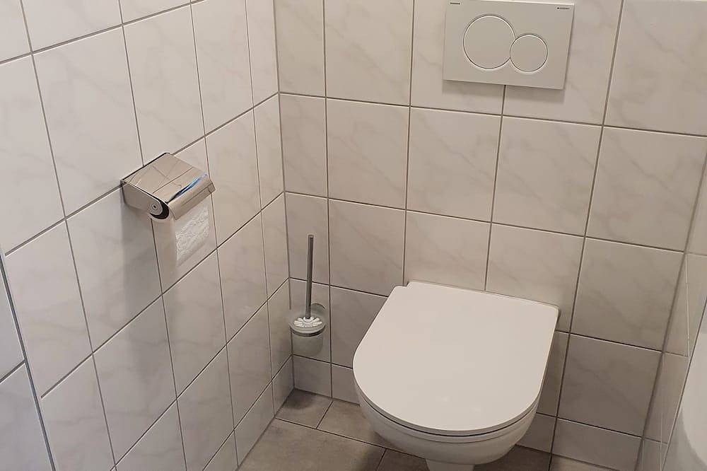 Ganze Wohnung, Souterrain Ferienwohnung, 50qm, 1 Schlafnische, 1 Schlafcouch. 1-2 Personen in Öhningen, Untersee