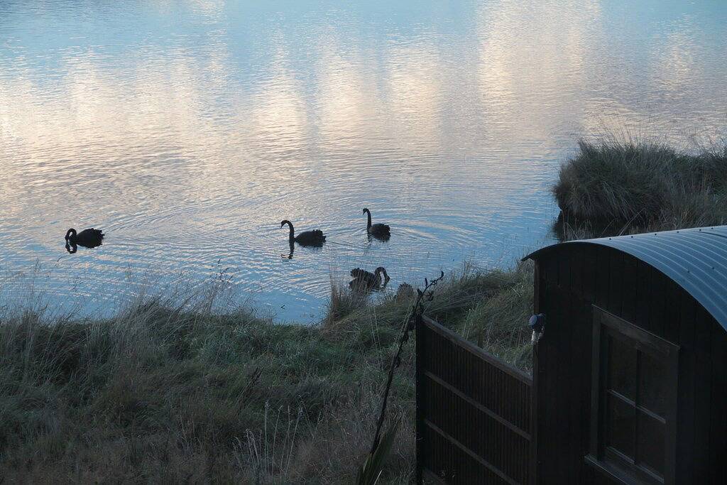 The Bird Hide - rustikaler Luxus am Wasser in Otago