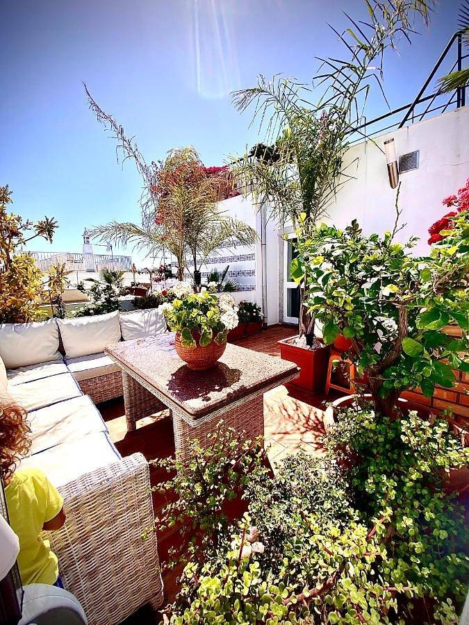 Zenit Guest House in Olhão (Portugal), Ria Formosa