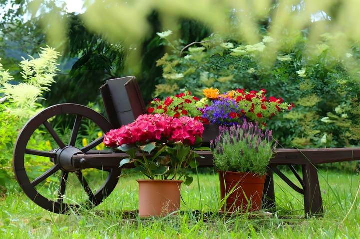 Gîte pour 5 personnes, avec jardin à Schönwald im Schwarzwald - 4