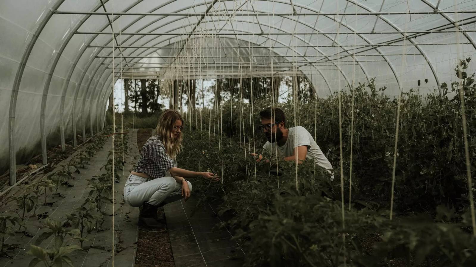 Apartamento entero, Pequeña casa - 2 adultos + 1 niño hasta 12 años in Pont-l'Abbé, Côte de Cornouaille