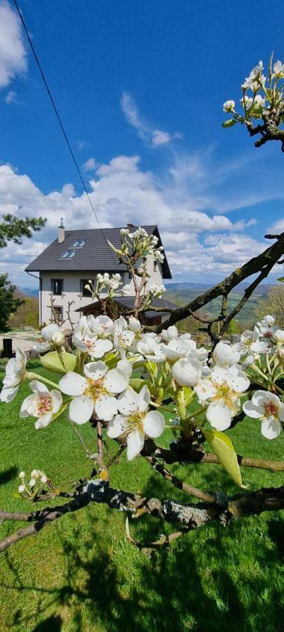 Chambre d’hôte pour 3 personnes, avec vue ainsi que piscine et jardin dans Silésie - 3