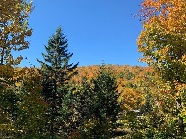 Location de vacances pour 4 personnes, avec vue et balcon dans Saint Donat De Montcalm - 2