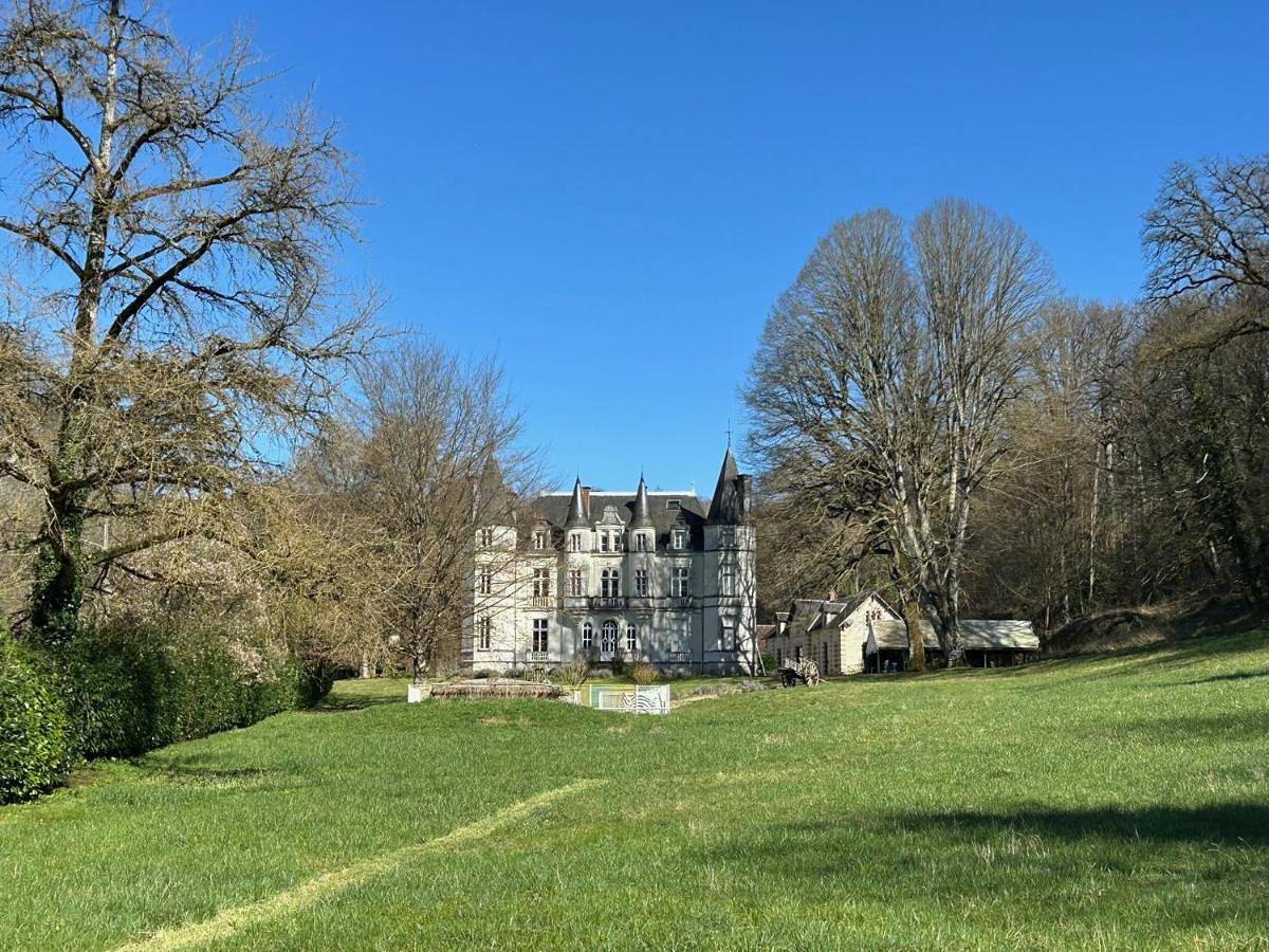Château de Vallagon in Bourré, Région de Blois