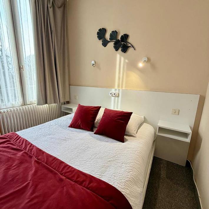 Hôtel pour 2 personnes, avec terrasse, animaux acceptés à Cosne-Cours-sur-Loire