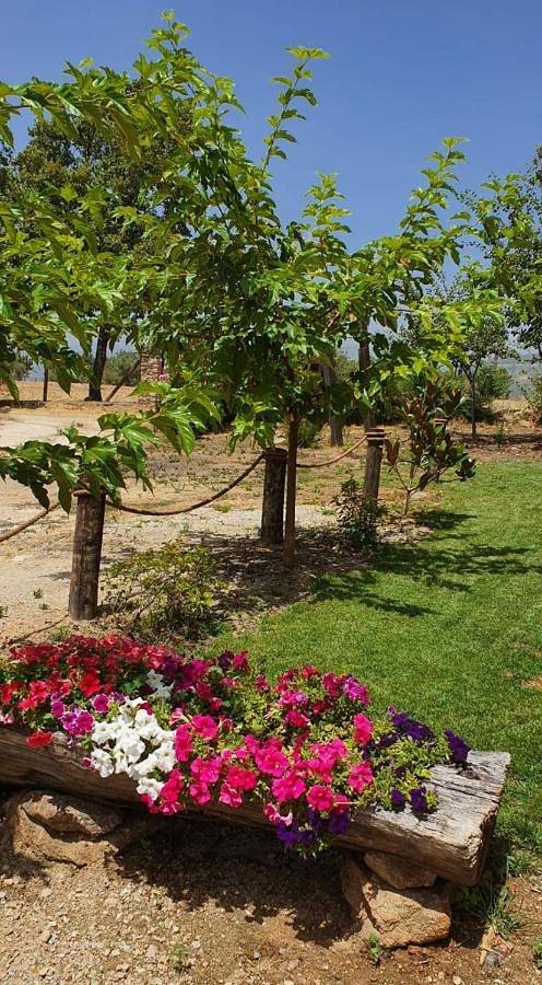 Casa de vacaciones para 5 personas, con piscina además de vistas y jardín, Se admiten mascotas en Sierra de Gredos - 3