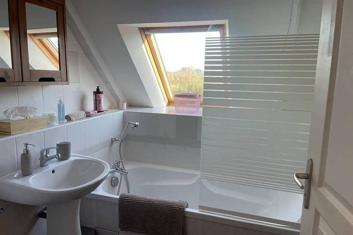 Location de vacances pour 6 personnes, animaux acceptés à Rédené - 3