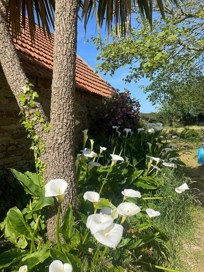 Location de vacances pour 8 personnes, avec vue et jardin à Plounévez-Lochrist - 4