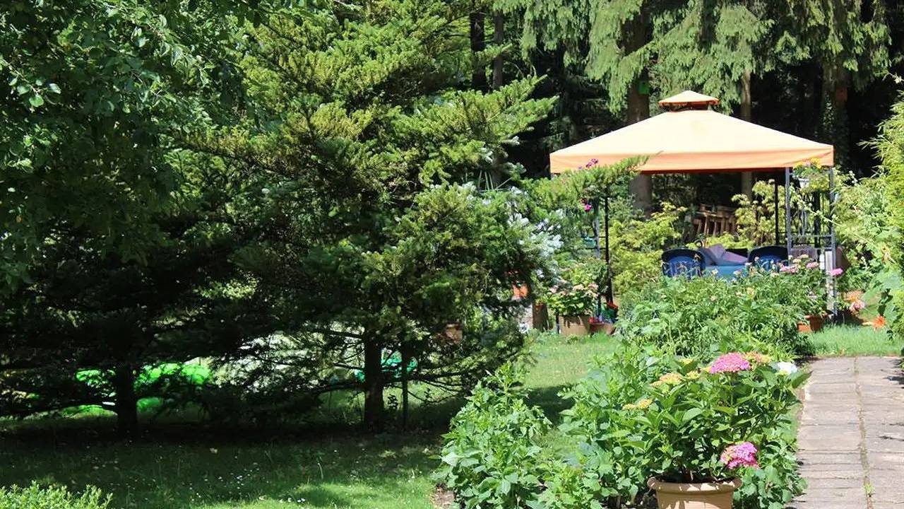 Ferienhaus für 4 Personen (60 m²) in Soltau in Soltau, Landkreis Heidekreis