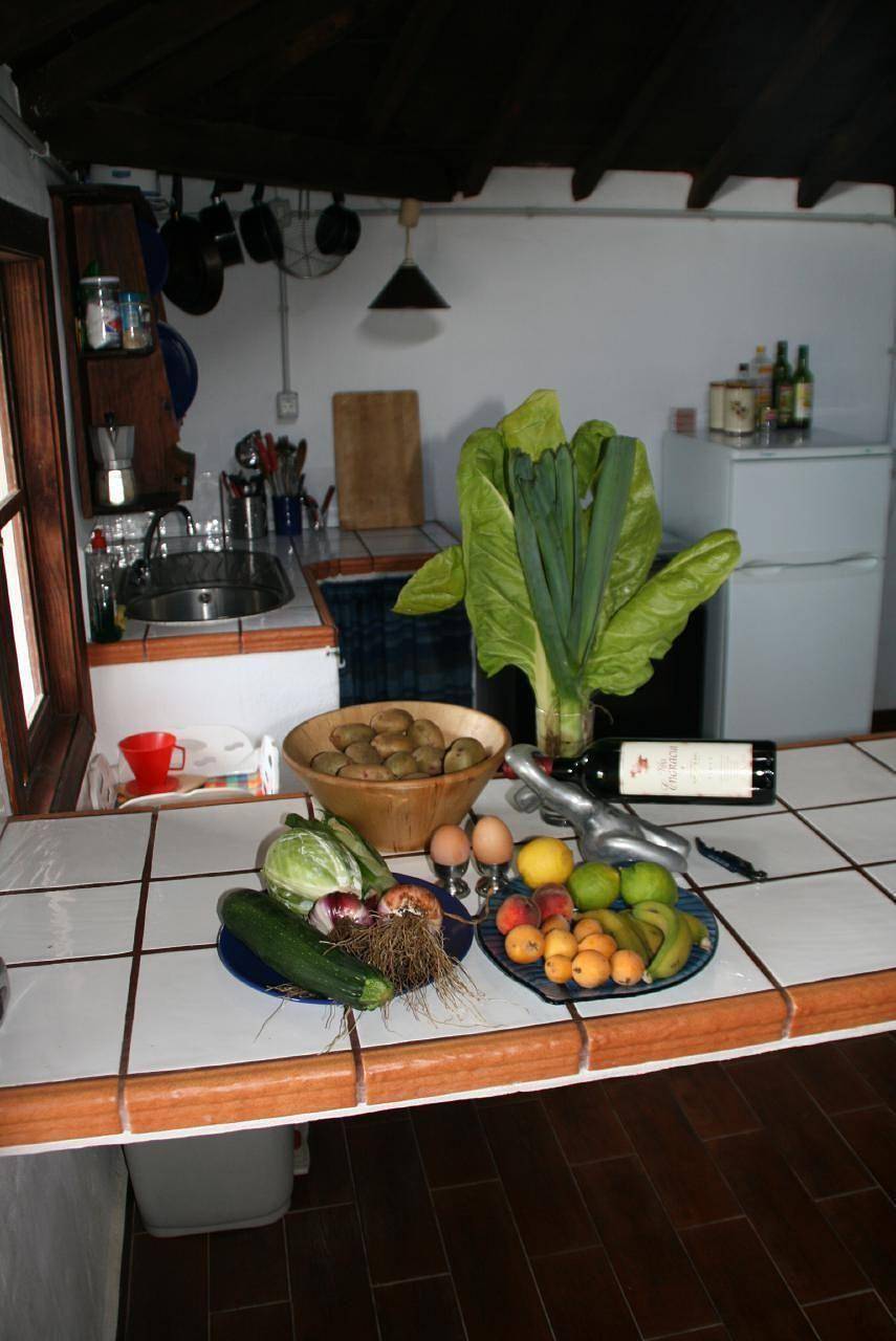 Beautiful finca Cueva del Viento with small garden in Cueva del Viento, Icod de los Vinos