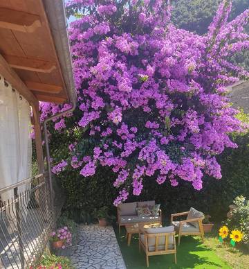 Gîte pour 3 personnes, avec jardin et vue, animaux acceptés à Pietrasanta