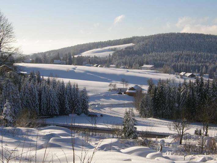 Chalet für 2 Personen, mit Garten und Sauna sowie Pool und Whirlpool in Haidmühle - 4