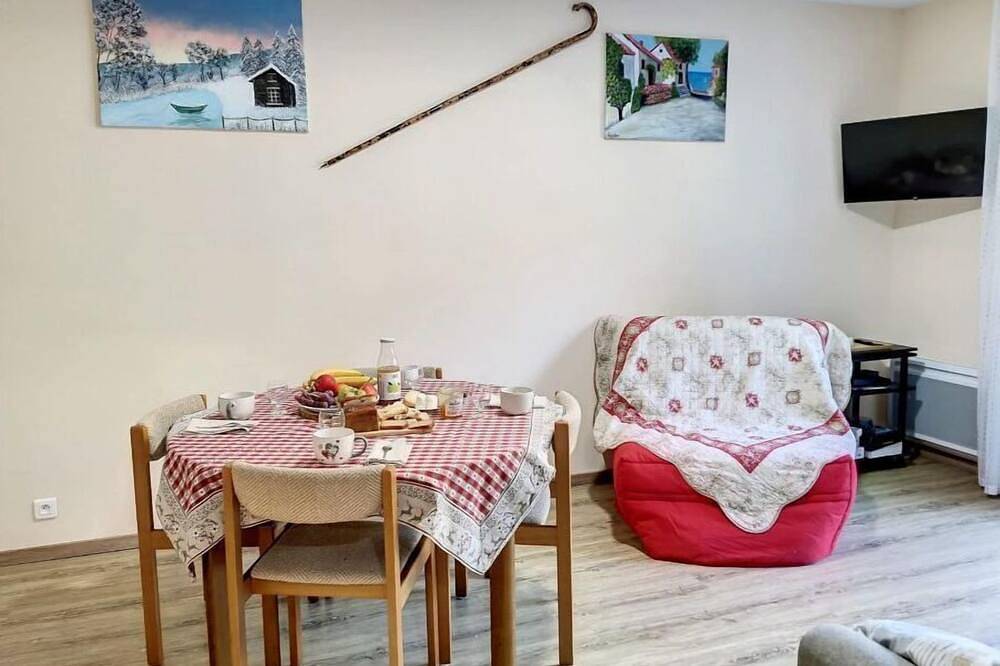 Entire apartment, \"sur la Rive du Gave\": Appartement 40m2, 3 Étoiles, Petits Animaux Acceptés in Argelès-Gazost, French Pyrenees