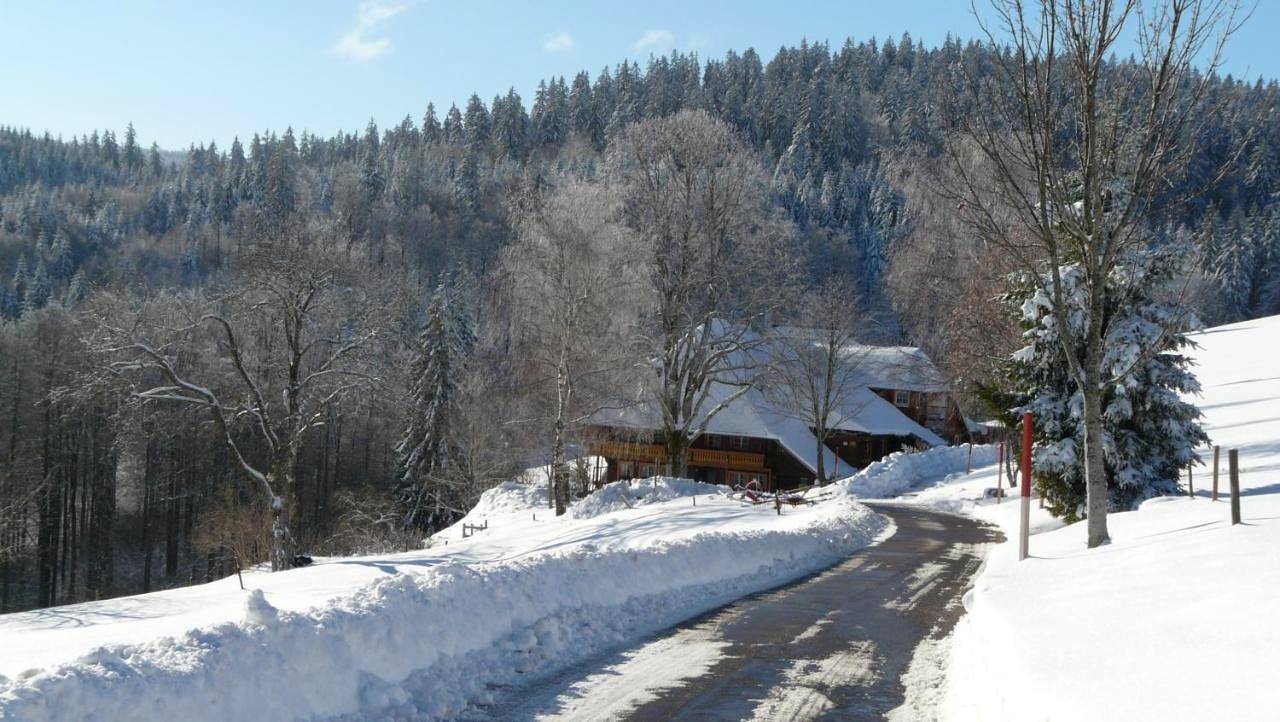 Ganze Wohnung, Apartment with Balcony in Hofsgrund, Oberried