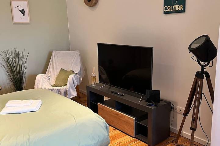 Gîte pour 3 personnes dans Ensisheim - 4