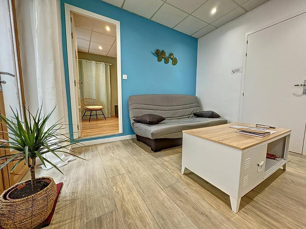 Appartement entier, Quai 36 parking et wifi in Millau, Parc naturel régional des Grands Causses