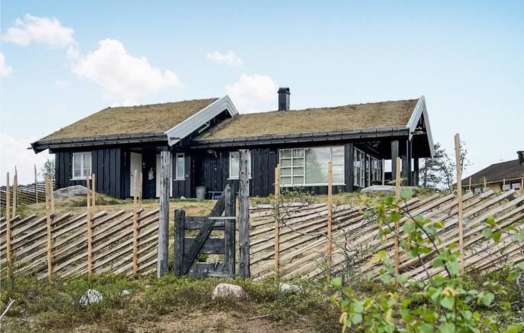 Ferienhaus für 9 Personen mit Terrasse in Rollag