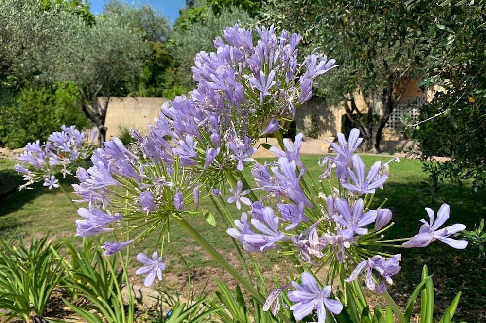 Self-catered villa with private pool in a flowery garden with trees in Vaison-la-Romaine, Parc naturel régional du Mont-Ventoux