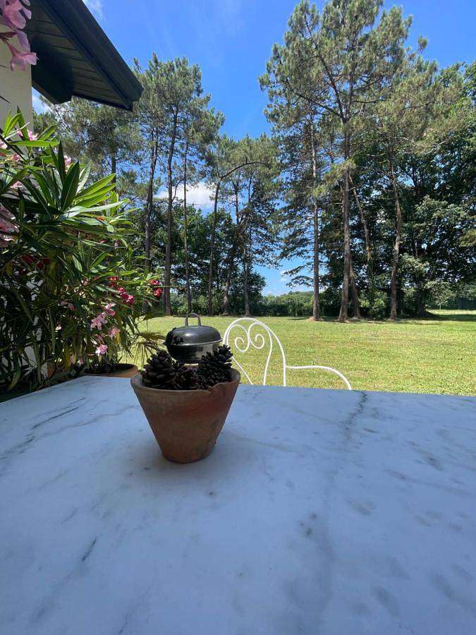 Gîte pour 2 personnes, avec terrasse et jardin à Came (Pyrénées-Atlantiques) - 4