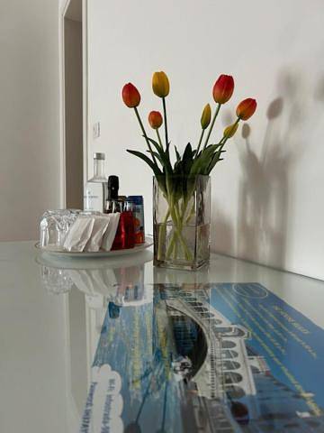 Chambre d’hôte pour 4 personnes, avec terrasse et vue à Mestre - 3