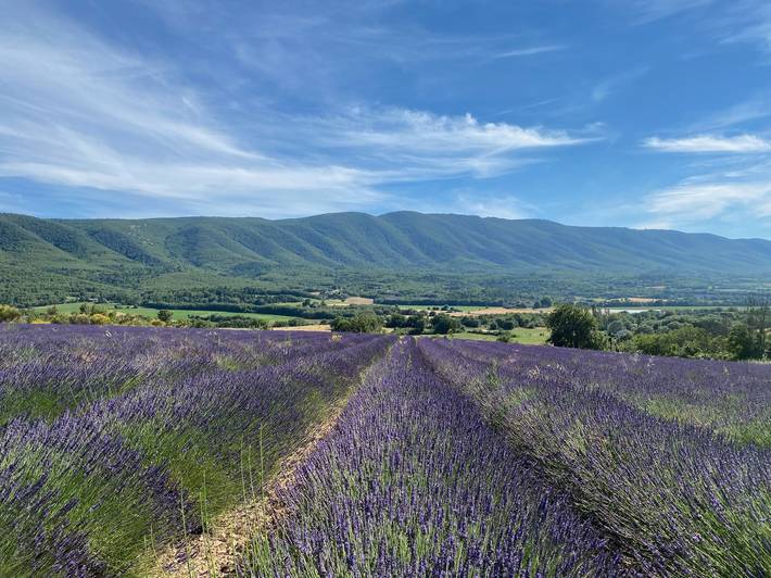Gîte pour 8 personnes, avec Piscine dans les Alpes-de-Haute-Provence - 2
