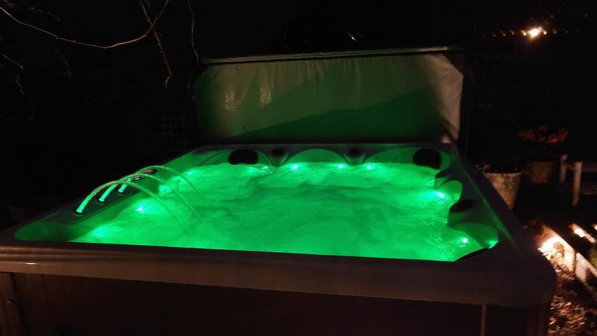 Location de vacances pour 8 personnes, avec piscine et sauna ainsi que terrasse et jacuzzi, animaux acceptés à Brasschaat - 4