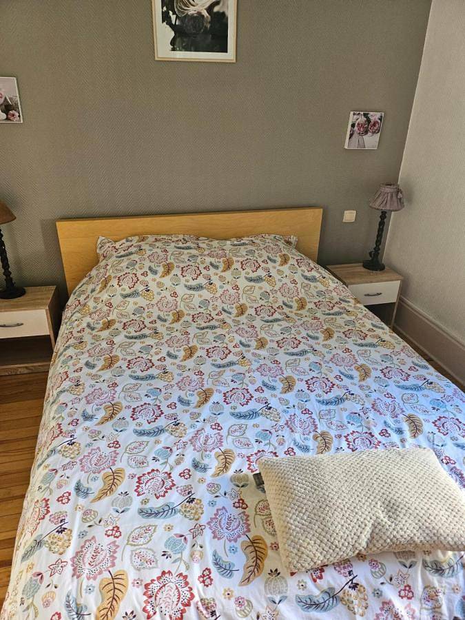 Gîte pour 4 personnes, avec vue et jardin, animaux acceptés à Saint-Jean-de-Maurienne - 2