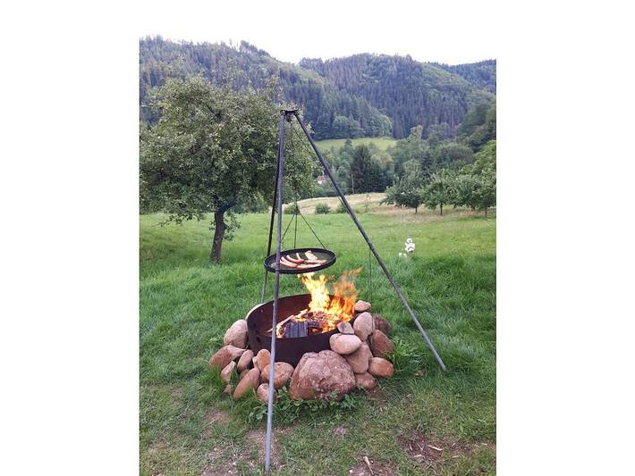 Ferienhaus für 4 Personen, mit Terrasse und Sauna in Nationalpark Schwarzwald - 2