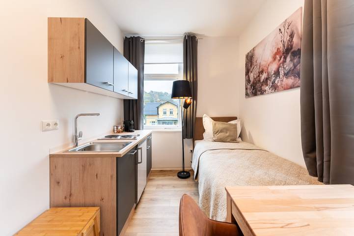 Ganzes Studio, 'Möbliertes Apartment Radebeul' mit gemeinsamer Terrasse, Garten & Wlan in Radebeul, Meißen Region