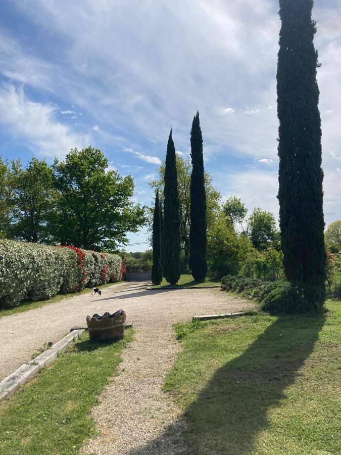 Maison de campagne pour 3 personnes, avec jardin ainsi que piscine et vue, animaux acceptés à Saint-Caprais-de-Bordeaux - 4