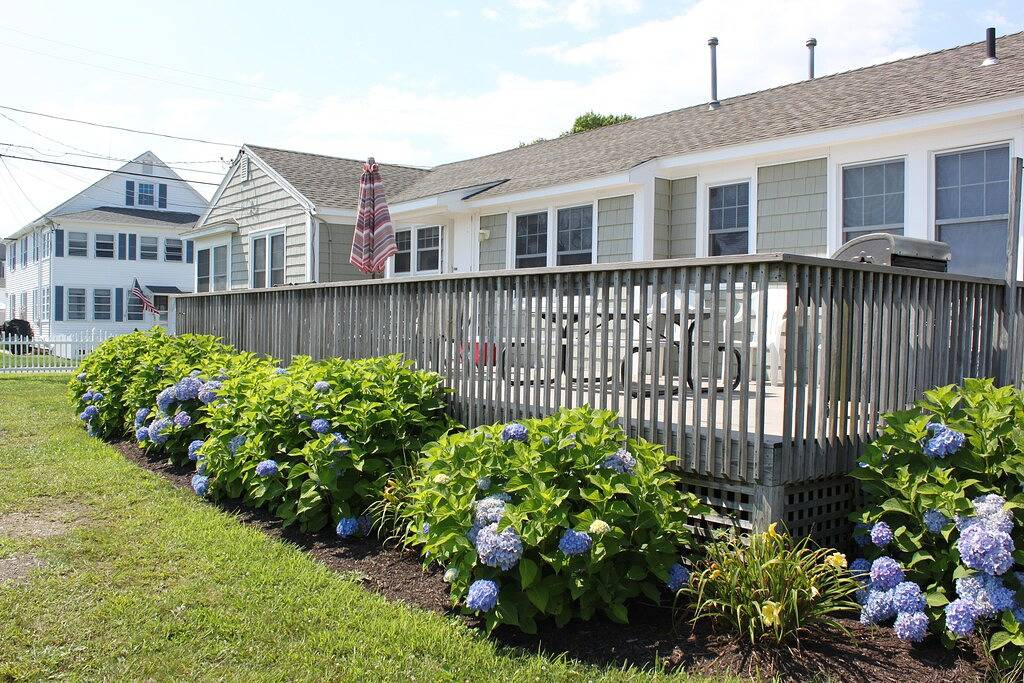 Bleiben Sie nur wenige Schritte von einem wunderschönen Privatstrand in Old Lyme entfernt! in Old Lyme, Connecticut
