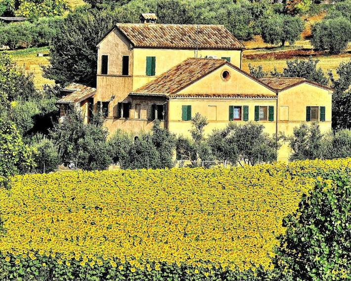 Chambre d’hôte pour 2 personnes, avec jardin dans Marche - 4