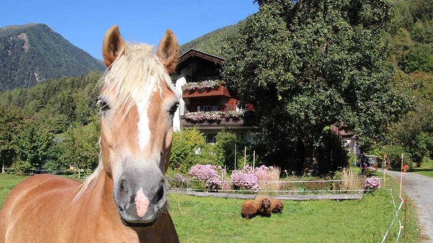 Ferienwohnung für 5 Personen, mit Pool und Garten sowie Ausblick in Obervellach