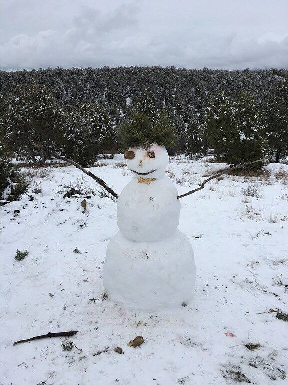 Loma Ponderosa - Luxus Cedar Cabin auf 3 privaten Morgen in San Juan National Forest