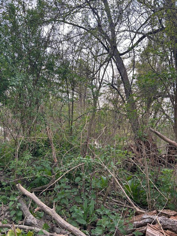 Tente pour 8 personnes, avec vue ainsi que jardin et terrasse, animaux acceptés dans l' Eure - 2
