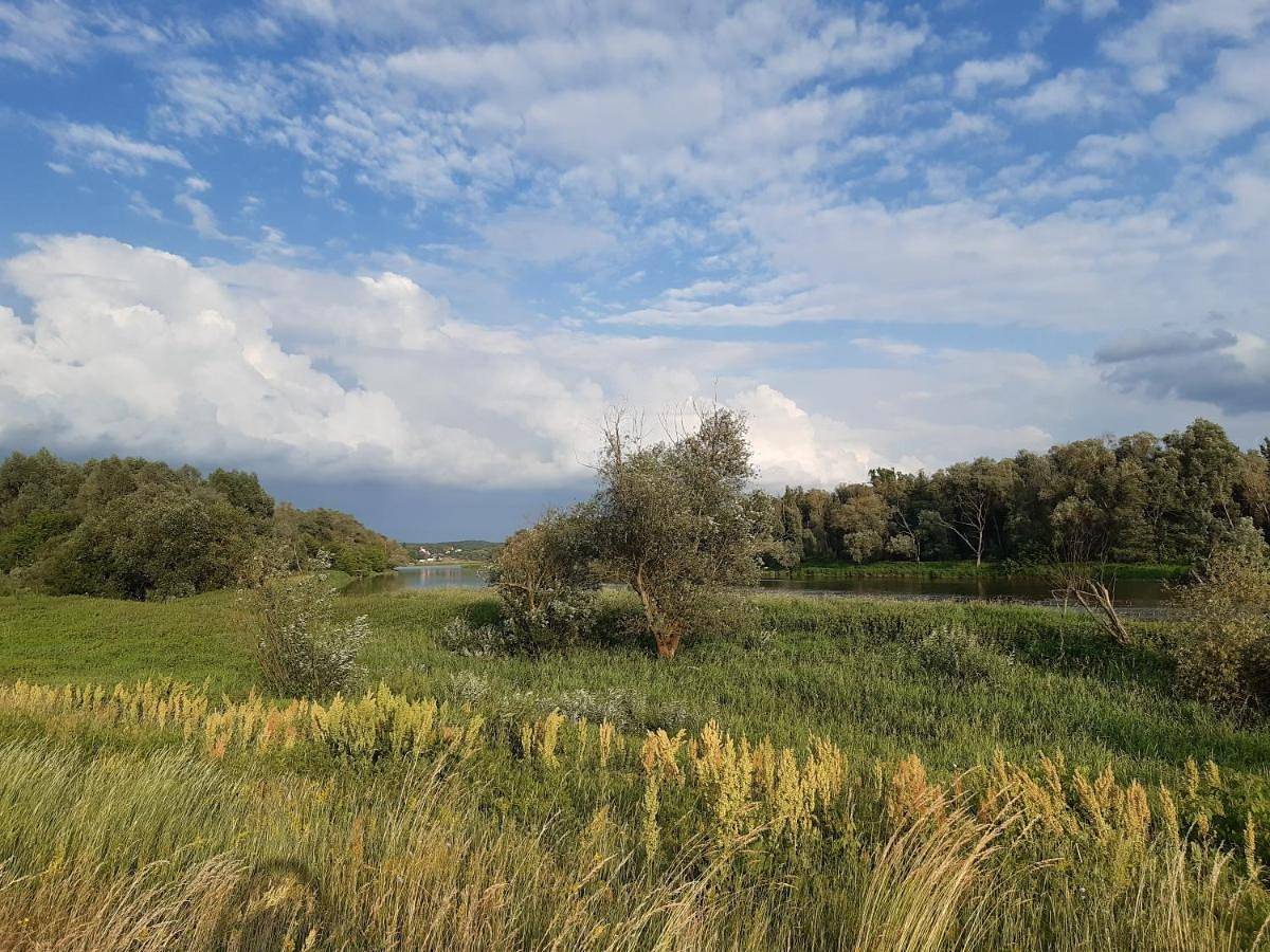Domek nad Bugiem z Sauną in Podlasie