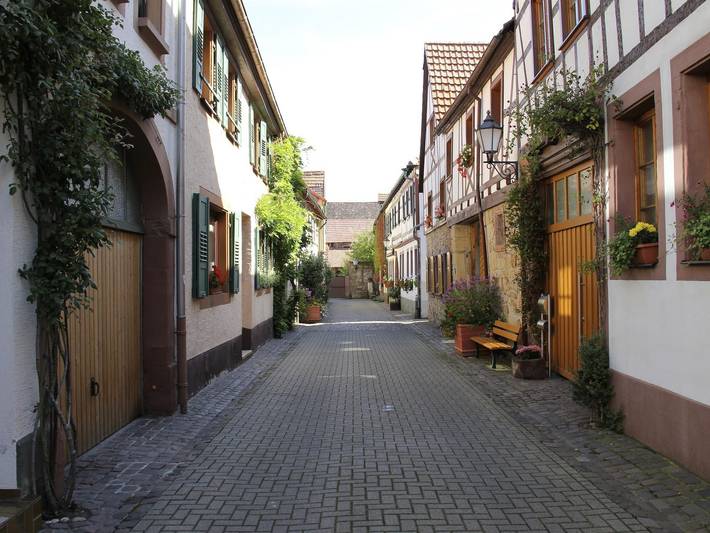 Ferienwohnung für 3 Personen im Pfälzer Wald
