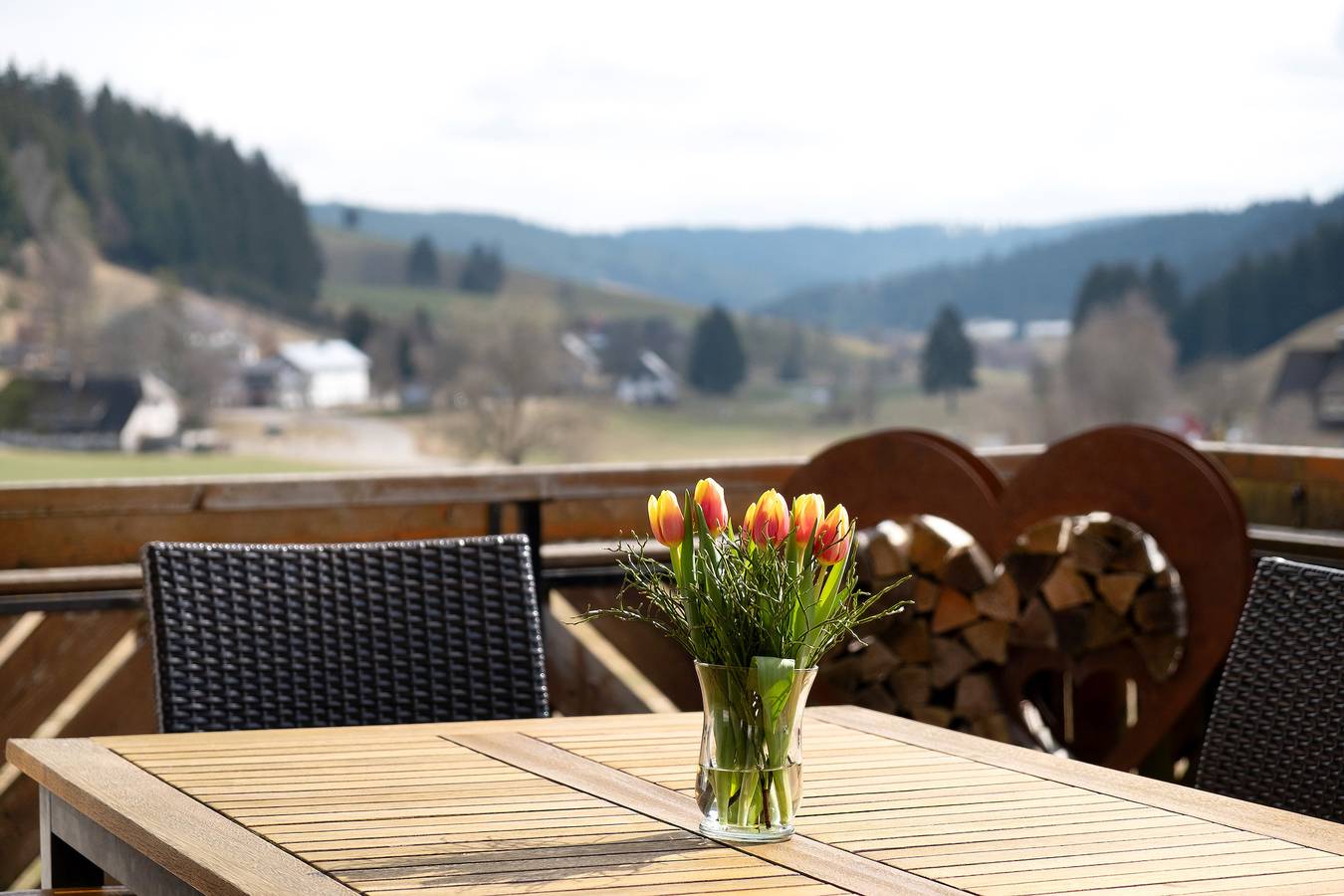 Ganze Wohnung, Ferienwohnung 'Panorama' mit Gemeinschaftsgarten, Balkon und Wi-Fi in Suedlicher Schwarzwald, Titisee-Neustadt